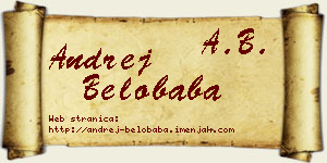 Andrej Belobaba vizit kartica